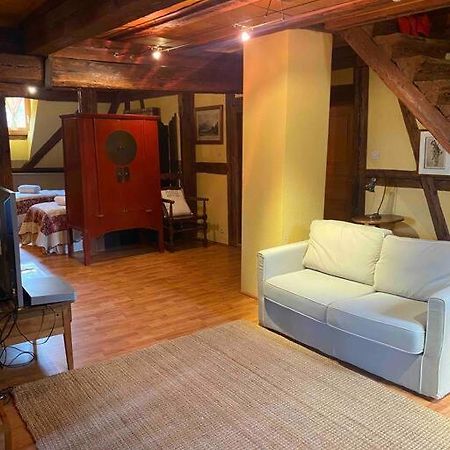 Le Majestueux Dans Le Centre Historique Apartman Riquewihr Kültér fotó